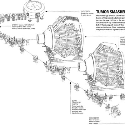 MD Anderson diagram 1